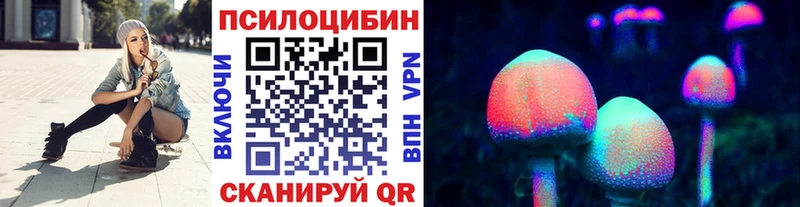 Купить  Обнинск  Псилоцибиновые грибы Psilocybe 